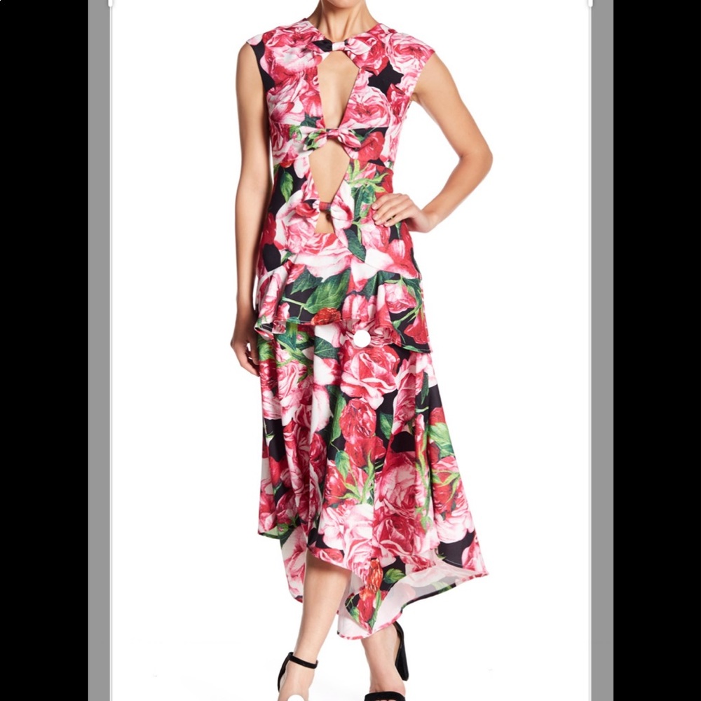 L’Atiste by Amy Floral Cutout Scarf Hem Dress